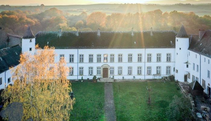 Pałac na sprzedaż Roussy-le-Bourg, Grand-Est,  Francja
