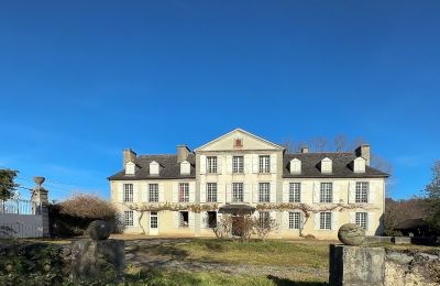 Dwór na sprzedaż Pau, Nouvelle-Aquitaine, Zdjęcie 2/18