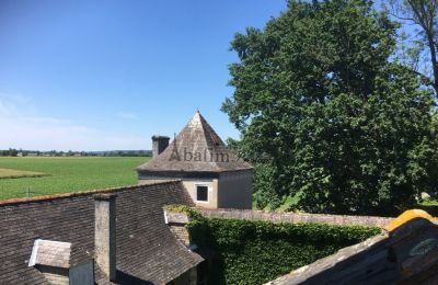 Dwór na sprzedaż Pau, Nouvelle-Aquitaine, Zdjęcie 17/18