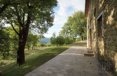 Wiejski dom na sprzedaż 06029 Valfabbrica, Umbria, Zdjęcie 18/49