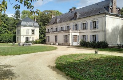 Pałac na sprzedaż Burgundia-Franche-Comté, Widok z tyłu