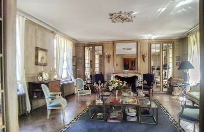 Pałac na sprzedaż Burgundia-Franche-Comté, Salon
