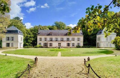 Pałac na sprzedaż Burgundia-Franche-Comté, Dwór