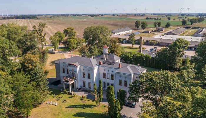 Pałac na sprzedaż Mgowo, Kujawsko-pomorskie,  Polska