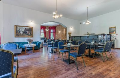 Pałac na sprzedaż Mgowo, Pałac w Mgowie, Kujawsko-pomorskie, Zdjęcie 11/17