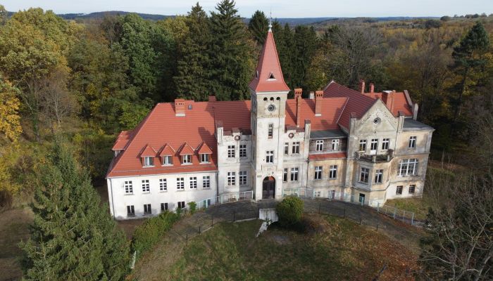 Pałac na sprzedaż Grabiszyce Średnie, Dolnośląskie,  Polska