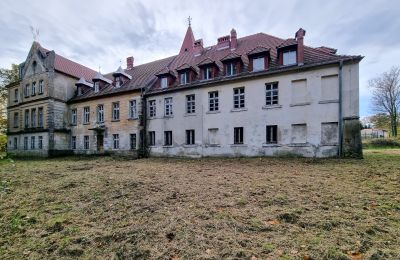 Pałac na sprzedaż Grabiszyce Średnie, Dolnośląskie, Widok z tyłu