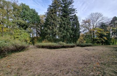 Pałac na sprzedaż Grabiszyce Średnie, Dolnośląskie, Park