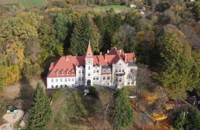 Pałac na sprzedaż Grabiszyce Średnie, Dolnośląskie, Pałac Grabiszyce Średnie