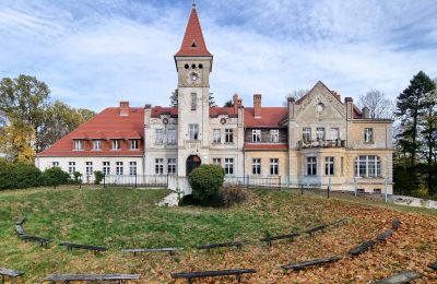 Pałac na sprzedaż Grabiszyce Średnie, Dolnośląskie, Widok z przodu