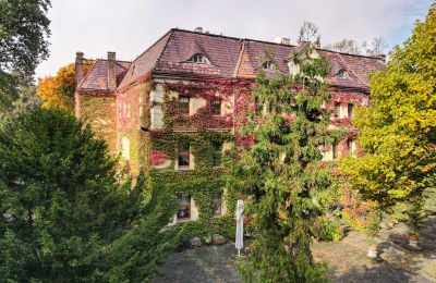 Pałac na sprzedaż Wojnowice, Pałacowa, Śląskie, Widok zewnętrzny