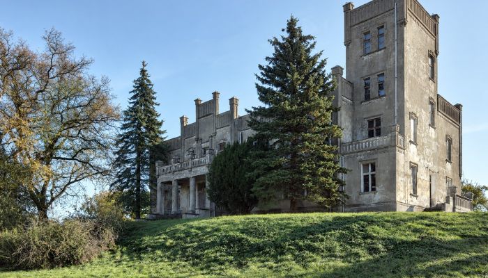 Pałac Górki Dąbskie, Kujawsko-pomorskie