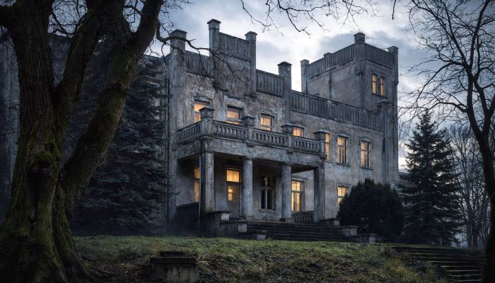 Pałac na sprzedaż Górki Dąbskie, Kujawsko-pomorskie