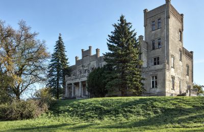 Pałac Górki Dąbskie, Kujawsko-pomorskie