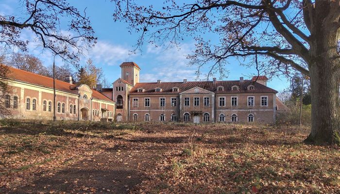 Pałac na sprzedaż Dobrocin, Warmińsko-mazurskie,  Polska