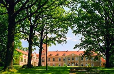 Dwór na sprzedaż Dobrocin, Pałac w Dobrocinie, Warmińsko-mazurskie, Widok historyczny