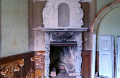 Dwór na sprzedaż Dobrocin, Pałac w Dobrocinie, Warmińsko-mazurskie, Zdjęcie 11/16