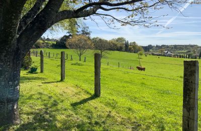 Wiejski dom na sprzedaż Melide, Cabazás, Galicja, Campo de la propiedad