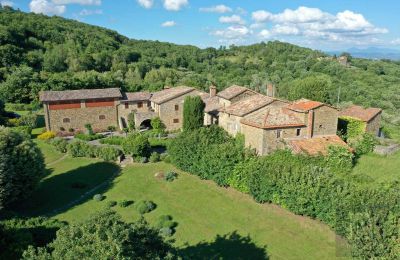 Wiejski dom na sprzedaż Città di Castello, Umbria, Zdjęcie 3/48