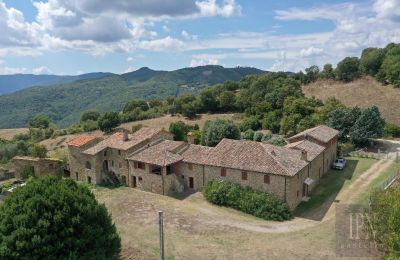 Wiejski dom na sprzedaż Città di Castello, Umbria, Zdjęcie 14/48