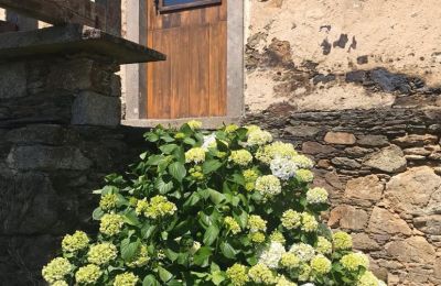Wiejski dom na sprzedaż Moeche, Sta Cruz de Moeche, Galicja, Detalle