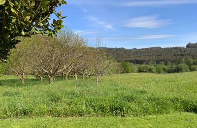 Wiejski dom na sprzedaż Moeche, Sta Cruz de Moeche, Galicja, Działka