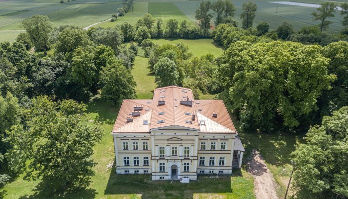 Pałac na sprzedaż Karszew, Wielkopolskie,  Polska