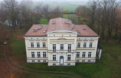 Pałac na sprzedaż Karszew, Wielkopolskie, Zdjęcie 6/19