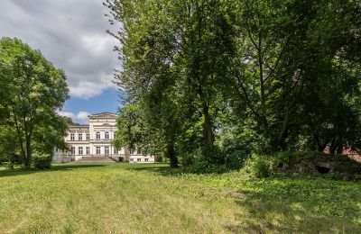 Pałac na sprzedaż Karszew, Wielkopolskie, Park