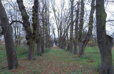 Pałac na sprzedaż Karszew, Wielkopolskie, Wjazd