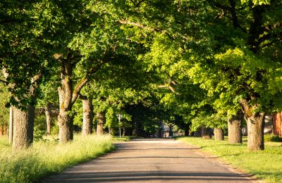 Dwór na sprzedaż Virķēni, Vidzeme, Zdjęcie 17/23