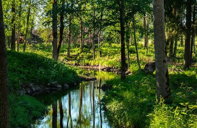 Dwór na sprzedaż Virķēni, Vidzeme, Zdjęcie 19/23