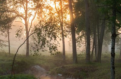 Dwór na sprzedaż Virķēni, Vidzeme, Zdjęcie 18/23