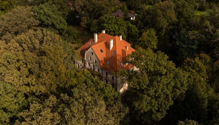 Pałac na sprzedaż Wilków, Opolskie,  Polska