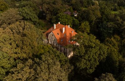 Pałac Wilków, Opolskie