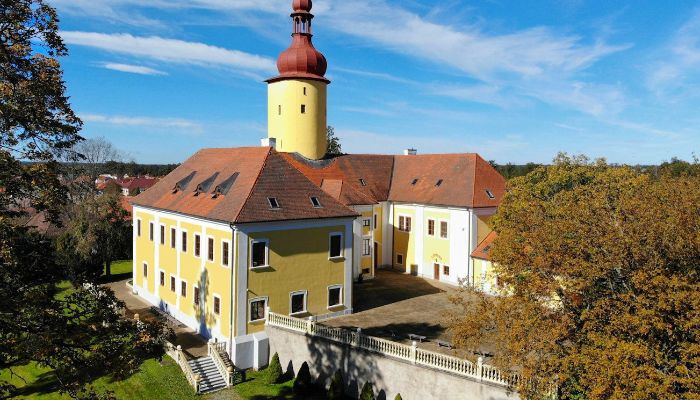 Pałac na sprzedaż Czechy,  Czechy