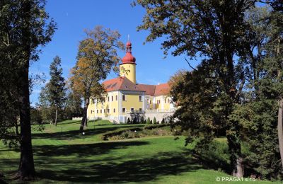 Pałac na sprzedaż Czechy, Park