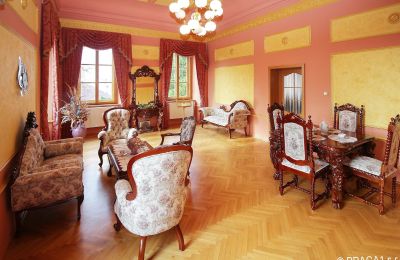 Pałac na sprzedaż Czechy, Salon