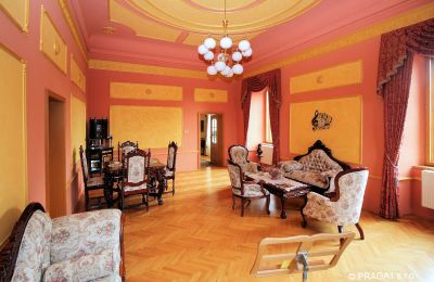 Pałac na sprzedaż Czechy, Salon