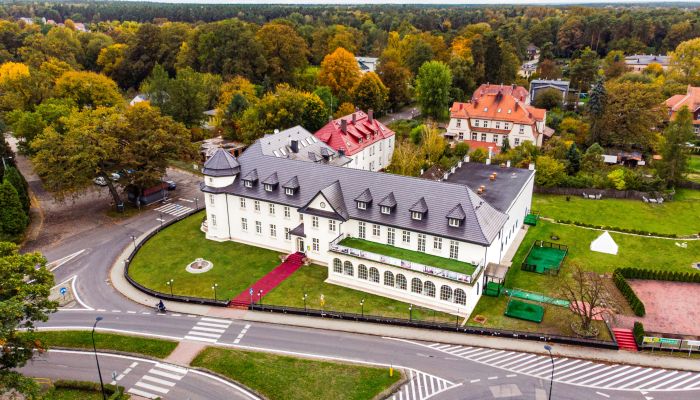 Pałac na sprzedaż Krupski Młyn, Śląskie,  Polska