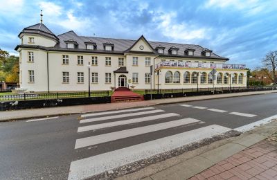 Pałac na sprzedaż Krupski Młyn, Śląskie, Zdjęcie 18/21