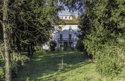 Zabytkowa willa na sprzedaż Pontedera, Toskania, Wjazd