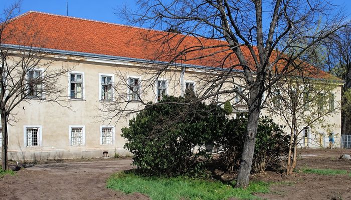 Dwór na sprzedaż Rumanová, Kraj nitrzański
