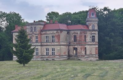 Dwór na sprzedaż Pisarzowice, Dolnośląskie, Zdjęcie 10/17
