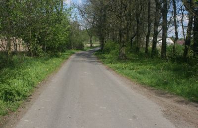 Dwór na sprzedaż Pisarzowice, Dolnośląskie, Zdjęcie 15/17