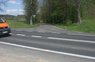 Dwór na sprzedaż Pisarzowice, Dolnośląskie, Zdjęcie 16/17