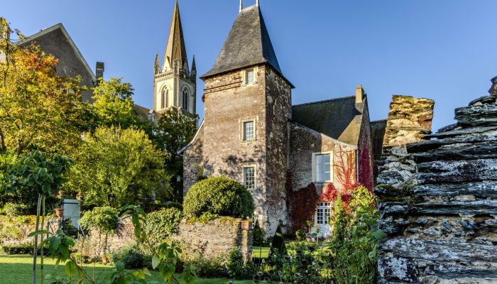 Dwór na sprzedaż Kraj Loary,  Francja