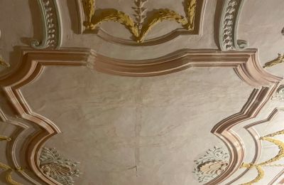 Pałac na sprzedaż Turyngia, Zdjęcie 5/22