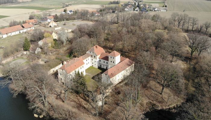 Zamek na sprzedaż Witostowice, Dolnośląskie,  Polska