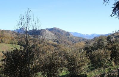 Dwór na sprzedaż Parres, Asturia, Widok